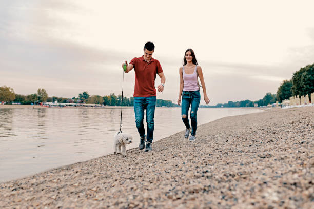 istock Making the most of the activity 1041988484