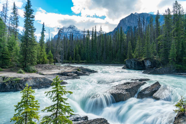 istock Glacier River in Yoho National Park, Canada 1041991896