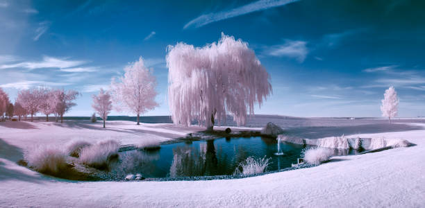 cena de infravermelha de um lago e árvores em um belo dia de sol - winter lake snow water - fotografias e filmes do acervo