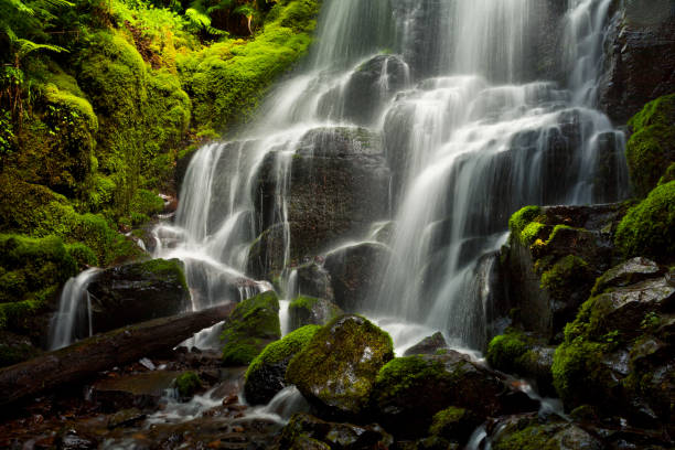 closeup de hadas caídas a lo largo de la garganta del columbia en oregon - columbia oregon fotografías e imágenes de stock