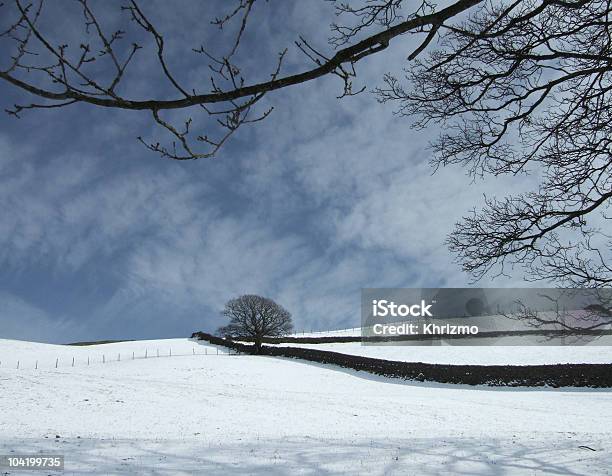 Inverno Seco Muro De Pedra - Fotografias de stock e mais imagens de Agricultura - Agricultura, Ao Ar Livre, Branco