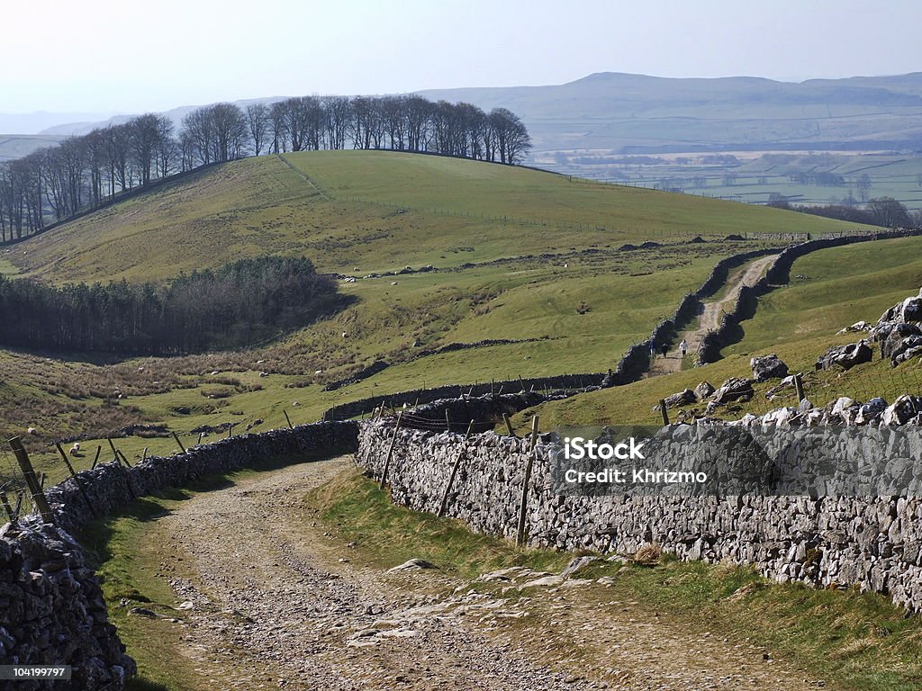 Country lane near Horton in Ribblesdale  Ribblesdale Stock Photo