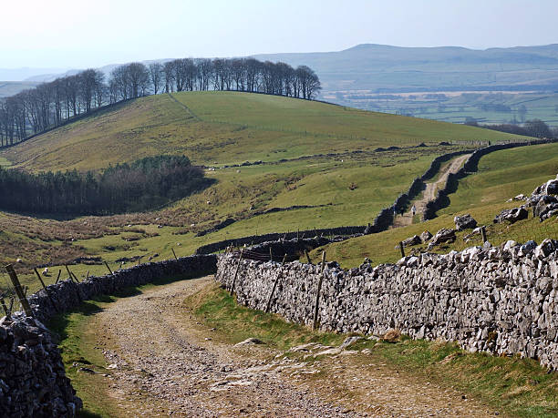 kraj lane w pobliżu horton w ribblesdale - horton in ribblesdale zdjęcia i obrazy z banku zdjęć