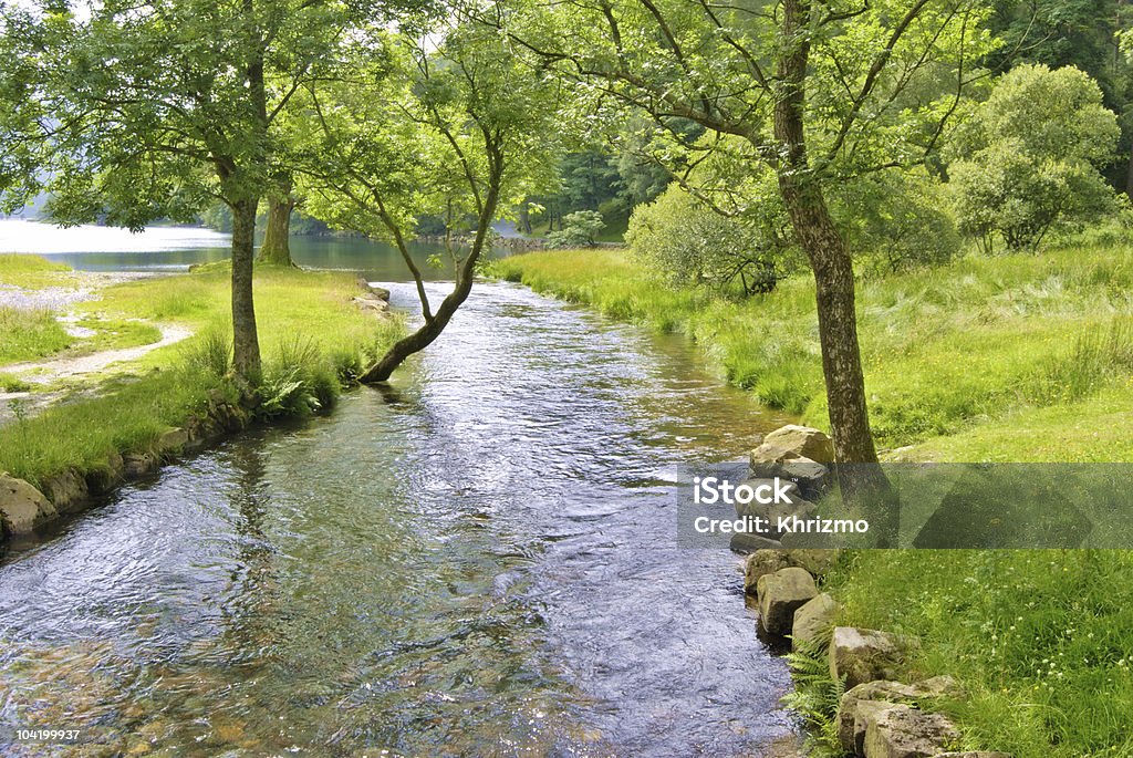 Peaceful river scene  Beauty Stock Photo