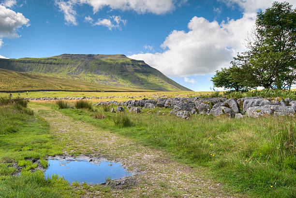 ingleborough - yorkshire dales стоковые фото и изображения