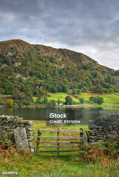 Riflessioni Su Rydal Water - Fotografie stock e altre immagini di Albero - Albero, Ambientazione esterna, Ambientazione tranquilla