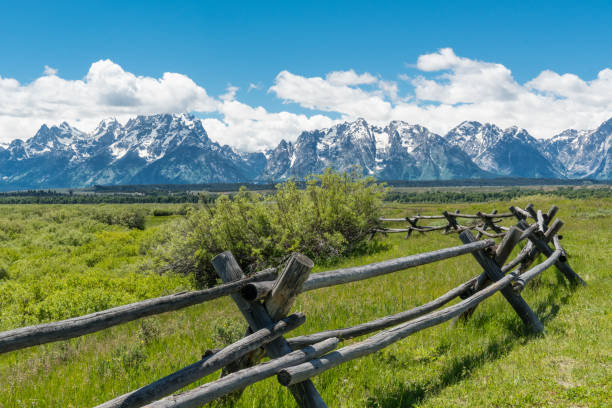 istock Pasture in Grand Teton National Park 1042000444