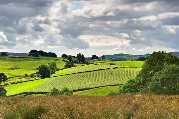 istock Summer rural farmland scene 104200136