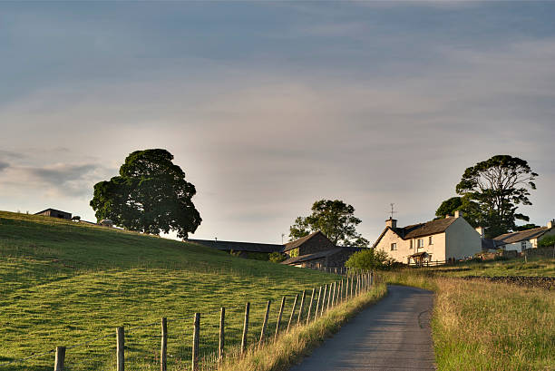 농가 주변에 ings - footpath single lane road road farm 뉴스 사진 이미지