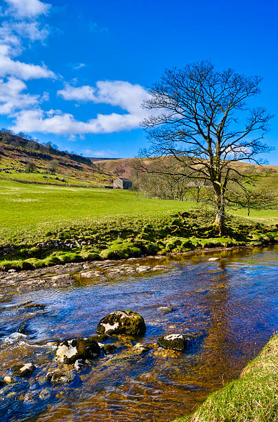 istock Picturesque countryside river 104200443