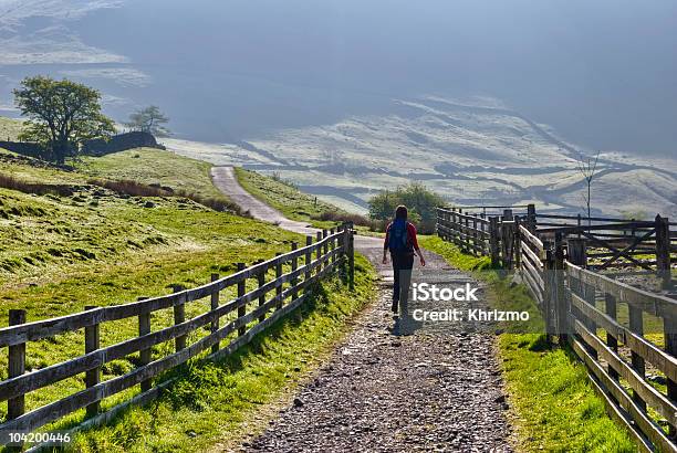 Photo libre de droit de Randonneur De Lake District banque d'images et plus d'images libres de droit de Randonnée pédestre - Randonnée pédestre, Région des lacs de Cambrie, Scène rurale