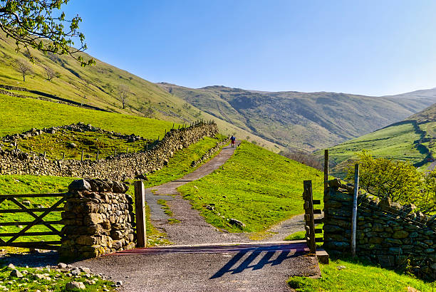 istock English Lake District Park cattle gate 104200457