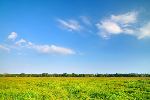 istock Colors of summer 104200585
