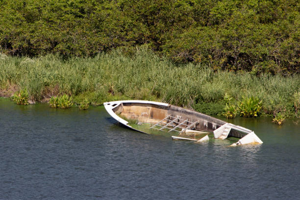 istock Abandoned Boat Lake Okeechobee 1042007984