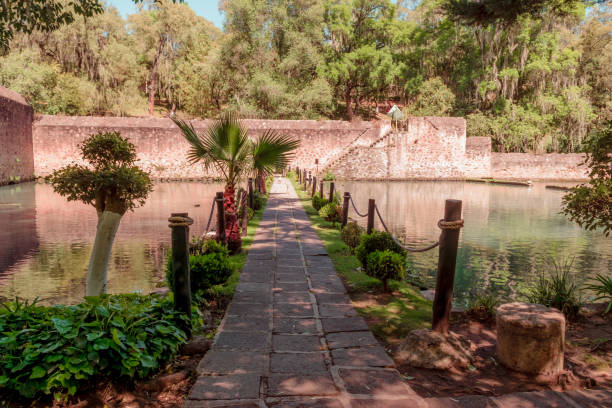 istock Path on top of a lake 1042008502
