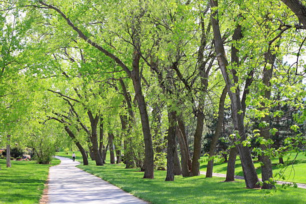 Neighborhood trail stock photo