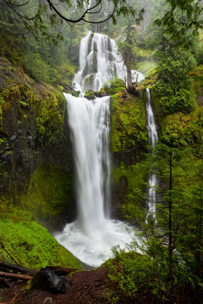 istock Falls Creek Falls, Washington State flowing in the spring 1042011642