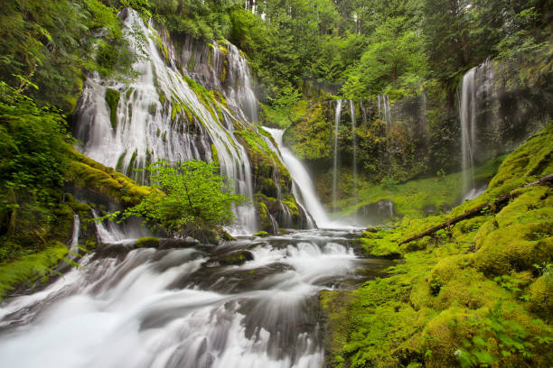 istock Panther Creek Falls in Washington State flowing in the spring 1042018038