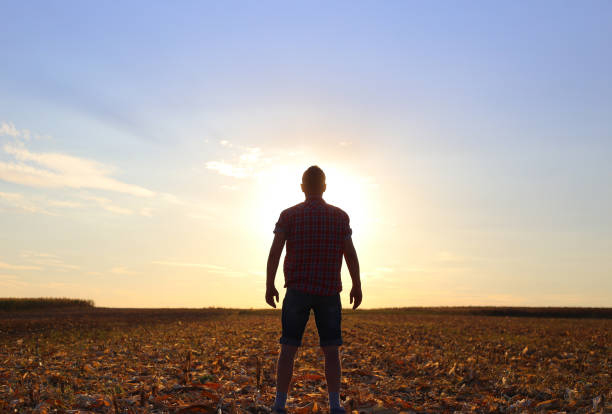 istock Farmer standing at his harvested abundant corn field 1042029328