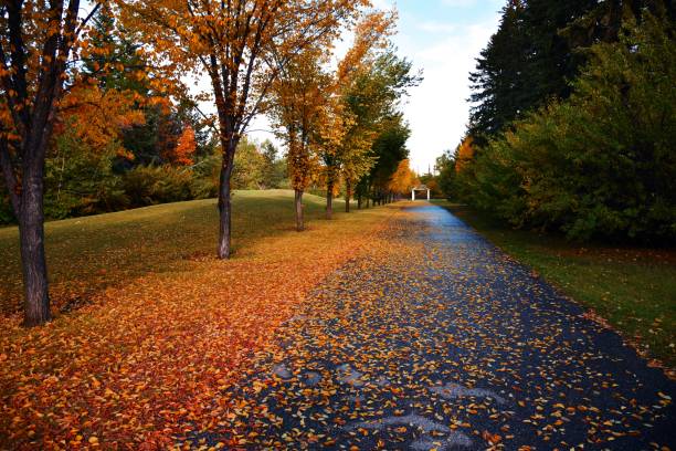 istock Poster perfect beautiful autumn or fall  color collection 1042033790