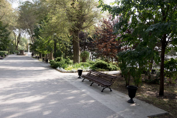 istock secluded bench in a shady park 1042034664