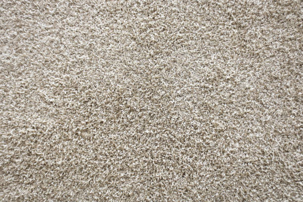 istock carpeted floor of brown tone 1042037592