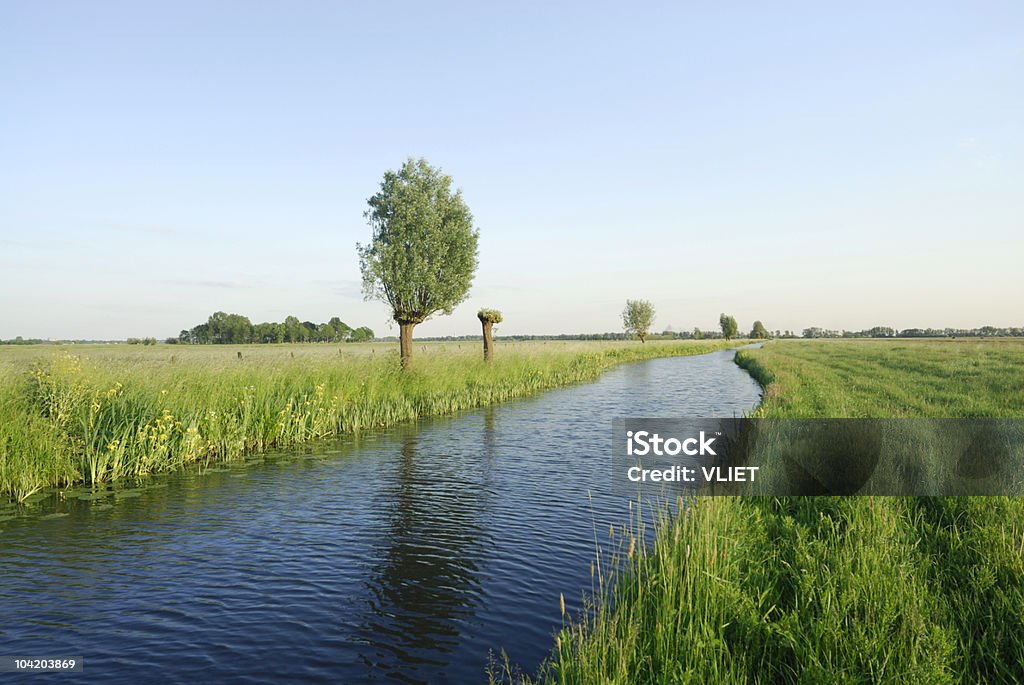 Dutch landscape  Agricultural Field Stock Photo