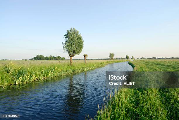 Dutch Landscape Stock Photo - Download Image Now - Agricultural Field, Blue, Canal