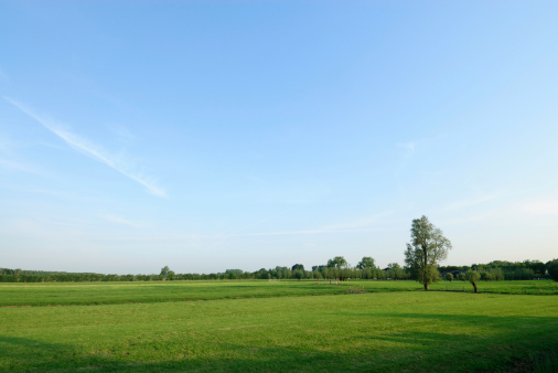 Farm in Den Bosch (‘s-Hertogenbosch) on a summer day, right after rainfall.