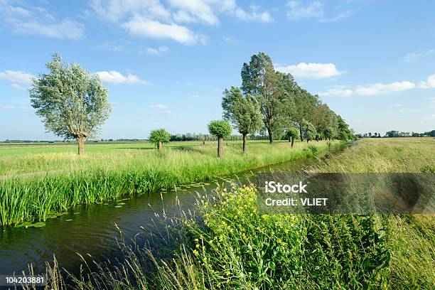 Ditch In Summer Stock Photo - Download Image Now - Agricultural Field, Blue, Canal