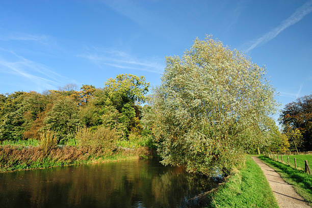 istock Canal and trees during autumn in the Netherlands 104204176
