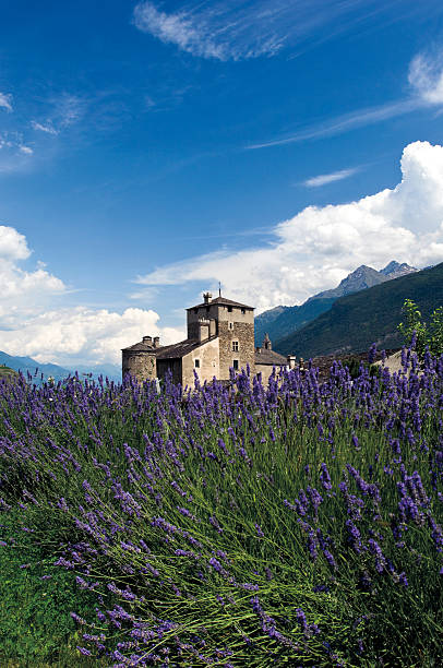 Sarriod Castle of the Tour stock photo