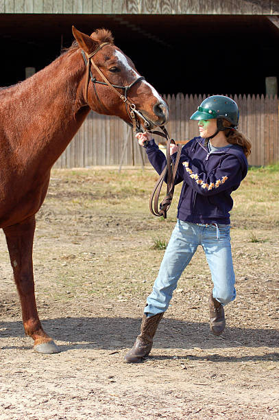 istock Stubborn horse! 104206240