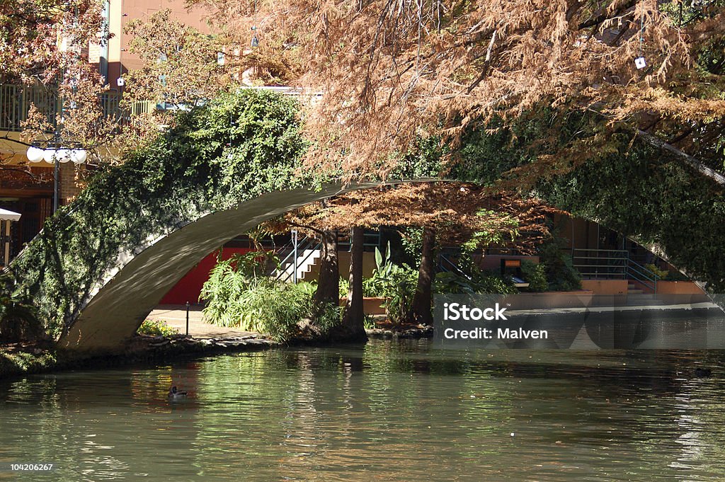Puente sobre Riverwalk - Foto de stock de Parra libre de derechos
