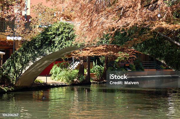 Ponte Sul Riverwalk - Fotografie stock e altre immagini di Vite - Flora - Vite - Flora, Acqua, Albero