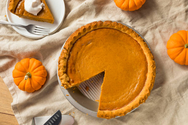 istock Sweet Homemade Thanksgiving Pumpkin Pie 1042065948