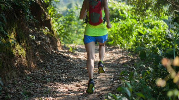 istock Young woman trail runner running on tropical forest trail 1042066292
