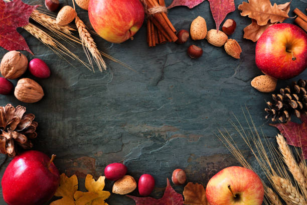istock Autumn frame of apples, fall foods & decor on dark stone 1042070330