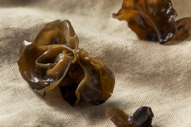 istock Raw Organic Wood Ear Mushrooms 1042070486