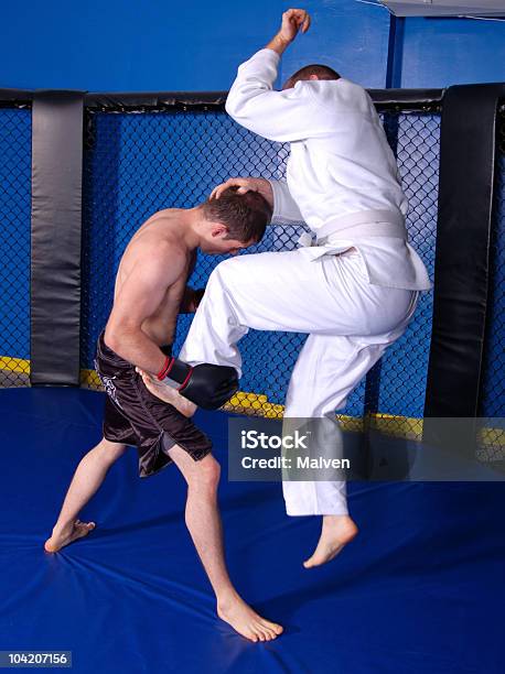 Cage Fight Stock Photo - Download Image Now - Adult, Adults Only, Blue