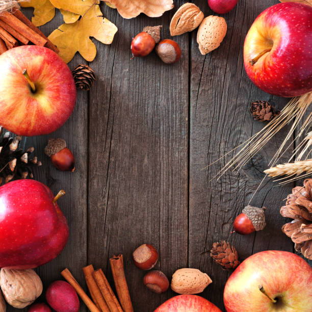 istock Autumn square frame of apples and fall ingredients over wood 1042073998