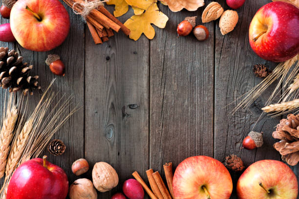 istock Autumn frame of apples and fall ingredients over wood 1042074276
