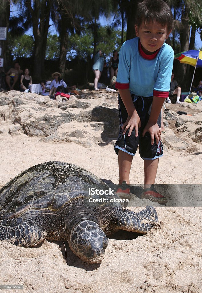 Ragazzo con le tartarughe marine - Foto stock royalty-free di Tartaruga marina