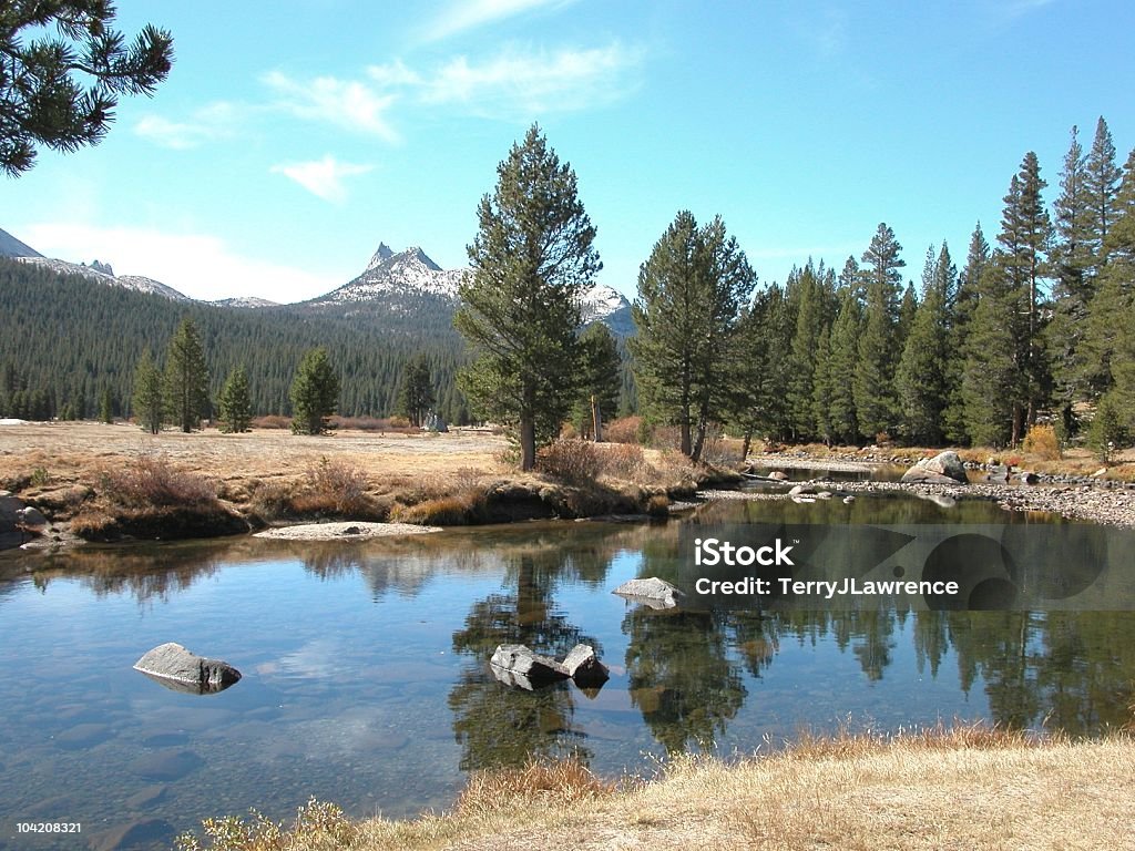 Tuolumne rio e Meadow, o Parque Nacional de Yosemite, na Califórnia, EUA - Foto de stock de América do Norte royalty-free