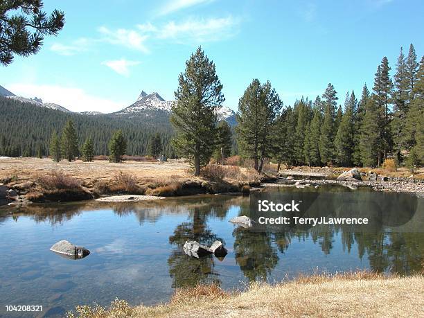 Foto de Tuolumne Rio E Meadow O Parque Nacional De Yosemite Na Califórnia Eua e mais fotos de stock de América do Norte