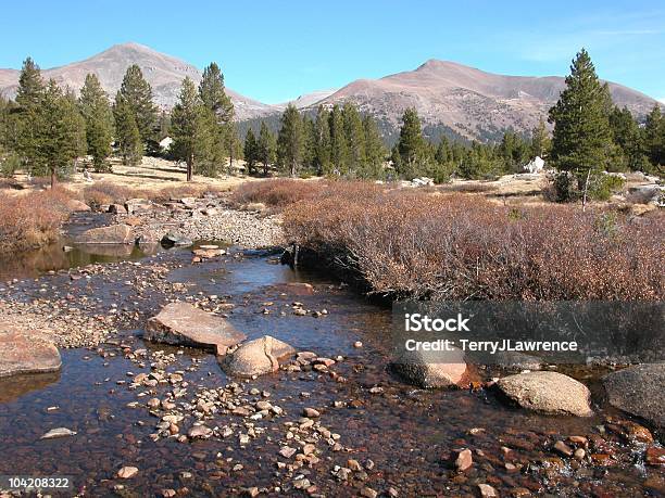 Tuolumne River And Meadow Yosemite National Park California Usa Stock Photo - Download Image Now