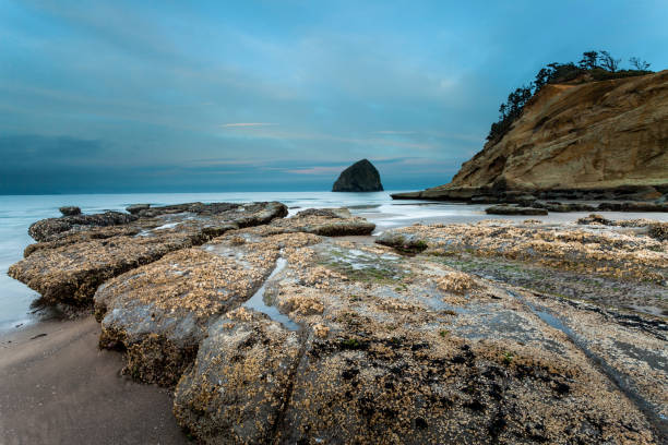 wschód słońca w cape kiwanda w stanie oregon ze skałami na pierwszym planie i skałą stogu siana w tle - cape kiwanda state park zdjęcia i obrazy z banku zdjęć