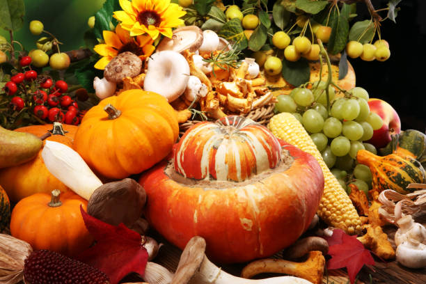 istock Autumn nature concept. Fall fruit and vegetables on wood. Thanksgiving dinner 1042087962