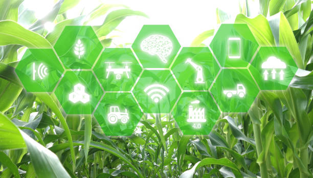 istock iot, internet of things, agriculture concept, Smart Robotic (artificial intelligence/ ai) use for management , control , monitoring, and detect with the sensor in the farm, field. 1042088394