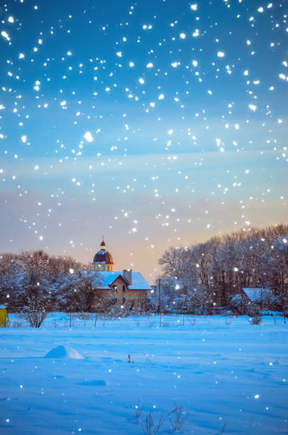 Winter Landscape with Snowy Forest at sunset